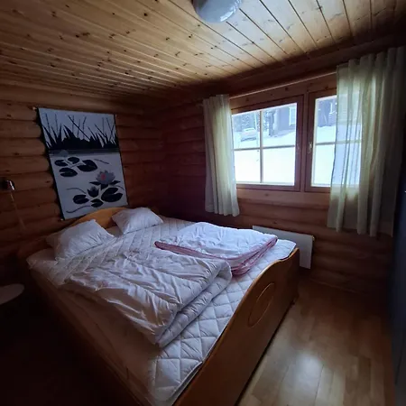 Smaller Aeijaenhonka Jämsä