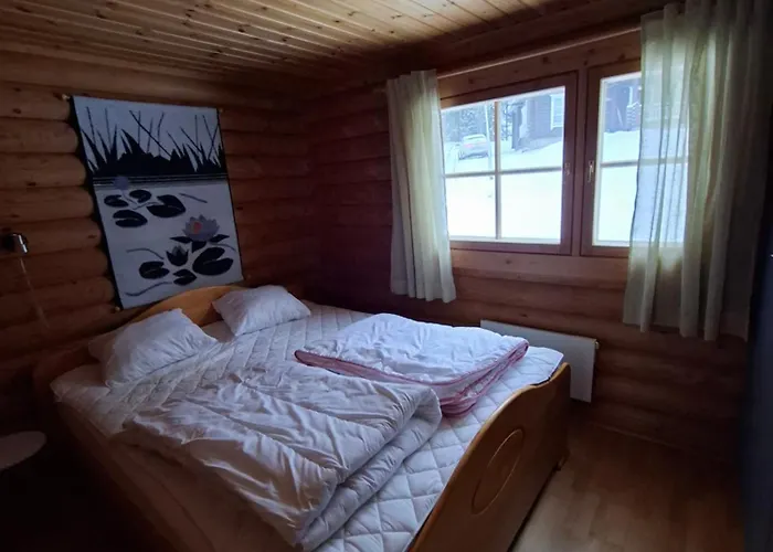 Smaller Aeijaenhonka Jämsä